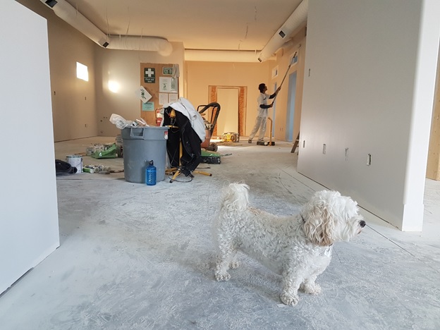 Domestic Cleaning
